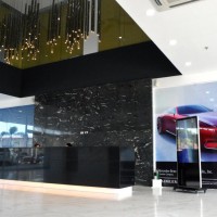 Berthaphil VIII - Mercedes-Benz Center